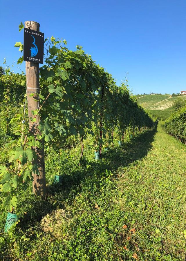 Cascina Bellonuovo อัลบา ภายนอก รูปภาพ